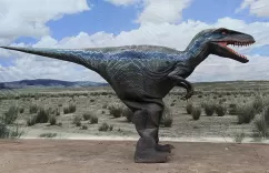 Dinosaur Costumes