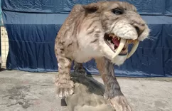 Animatronic Animals