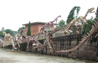 How Were Dinosaur Fossils Formed?