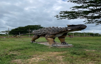 Bolivia Dinosaur Park Project