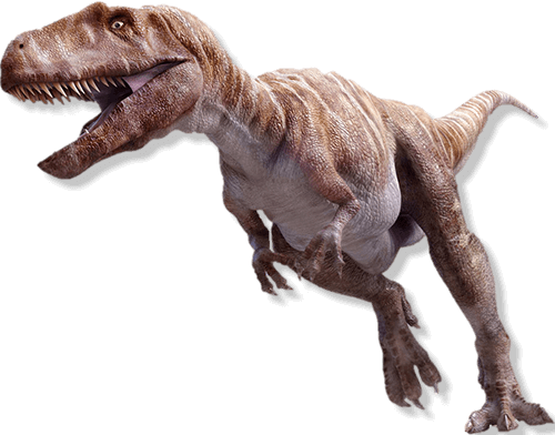Dino Walk Science & Technology Inc. 
